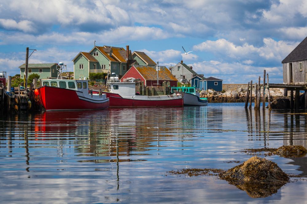 https://assets.mymaggie.ai/uploads/Cover_Halifax_ad91ec2cd2.jpg local