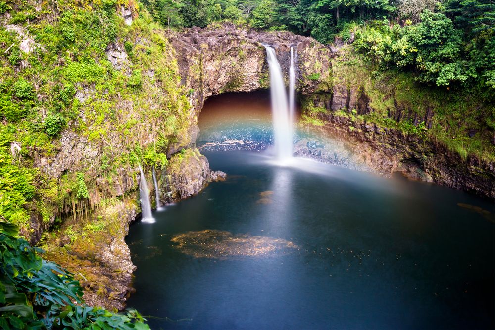 https://assets.mymaggie.ai/uploads/Cover_Hilo_05ab025fde.jpg local