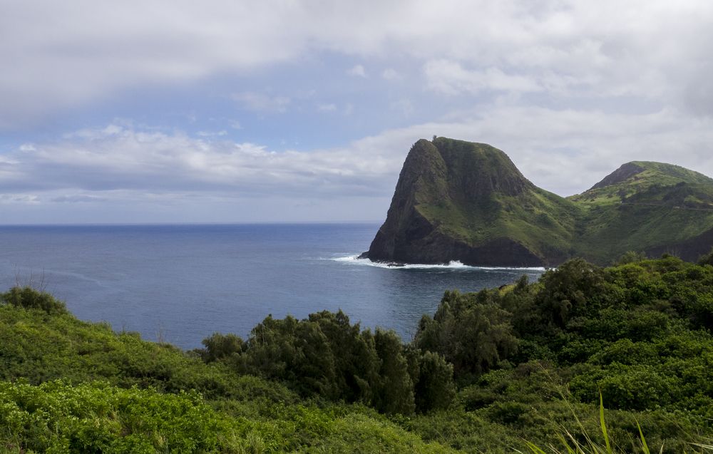 https://assets.mymaggie.ai/uploads/Cover_Kahului_a7b4704394.jpg local