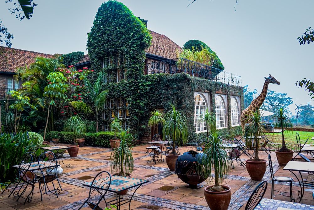 https://assets.mymaggie.ai/uploads/Cover_Nairobi_ca19c6c4a0.jpg local