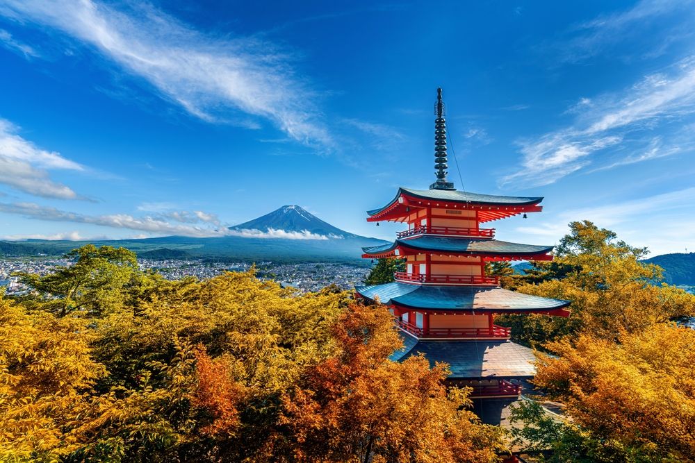 https://assets.mymaggie.ai/uploads/Cover_Tokyo_f7d9ce3da5.jpg local