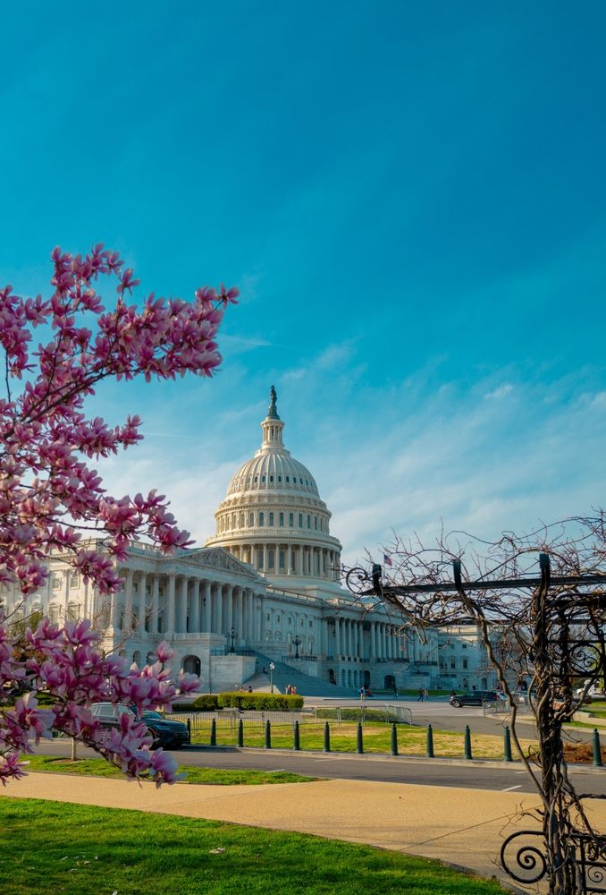 local
